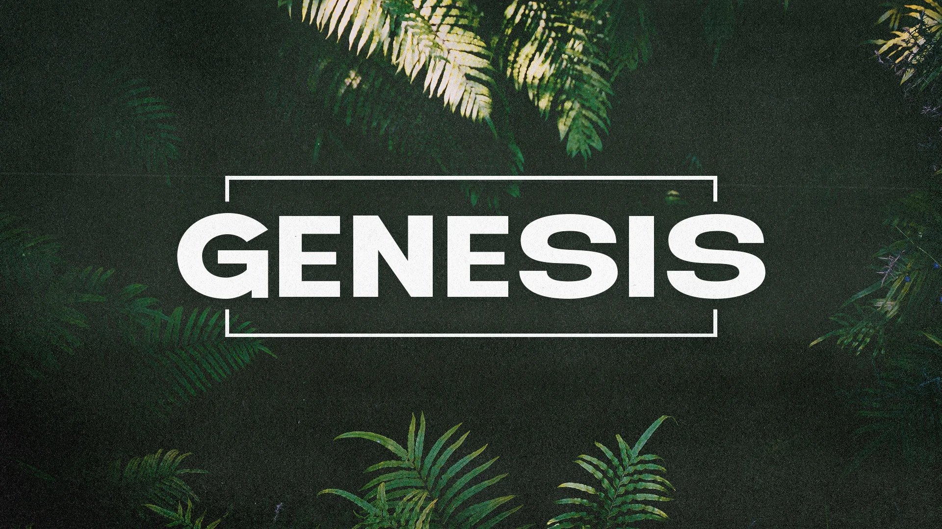 genesis-9-4-22-on-vimeo