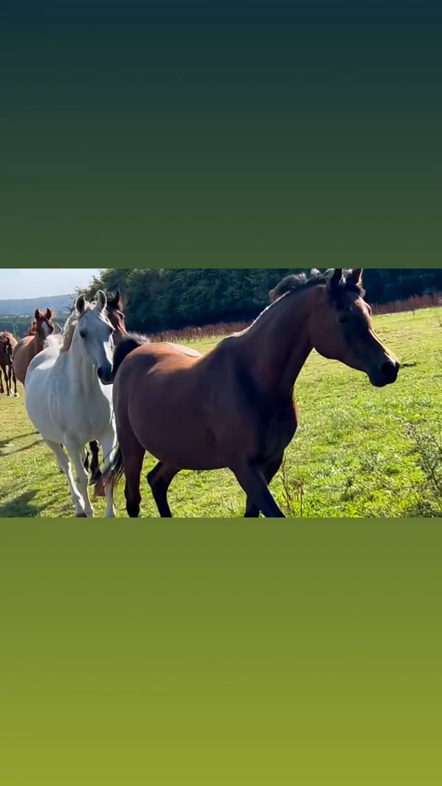 Changing Fields