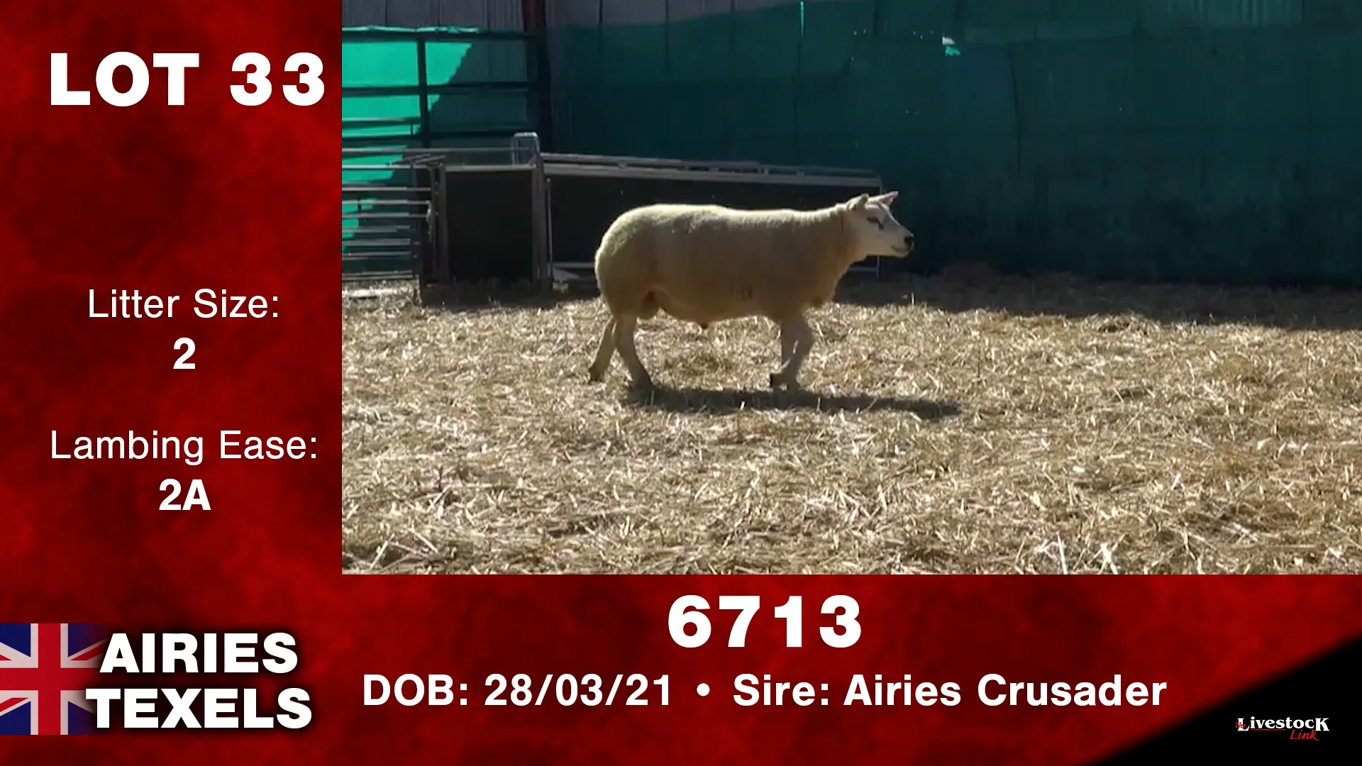 Lot 33 on Vimeo