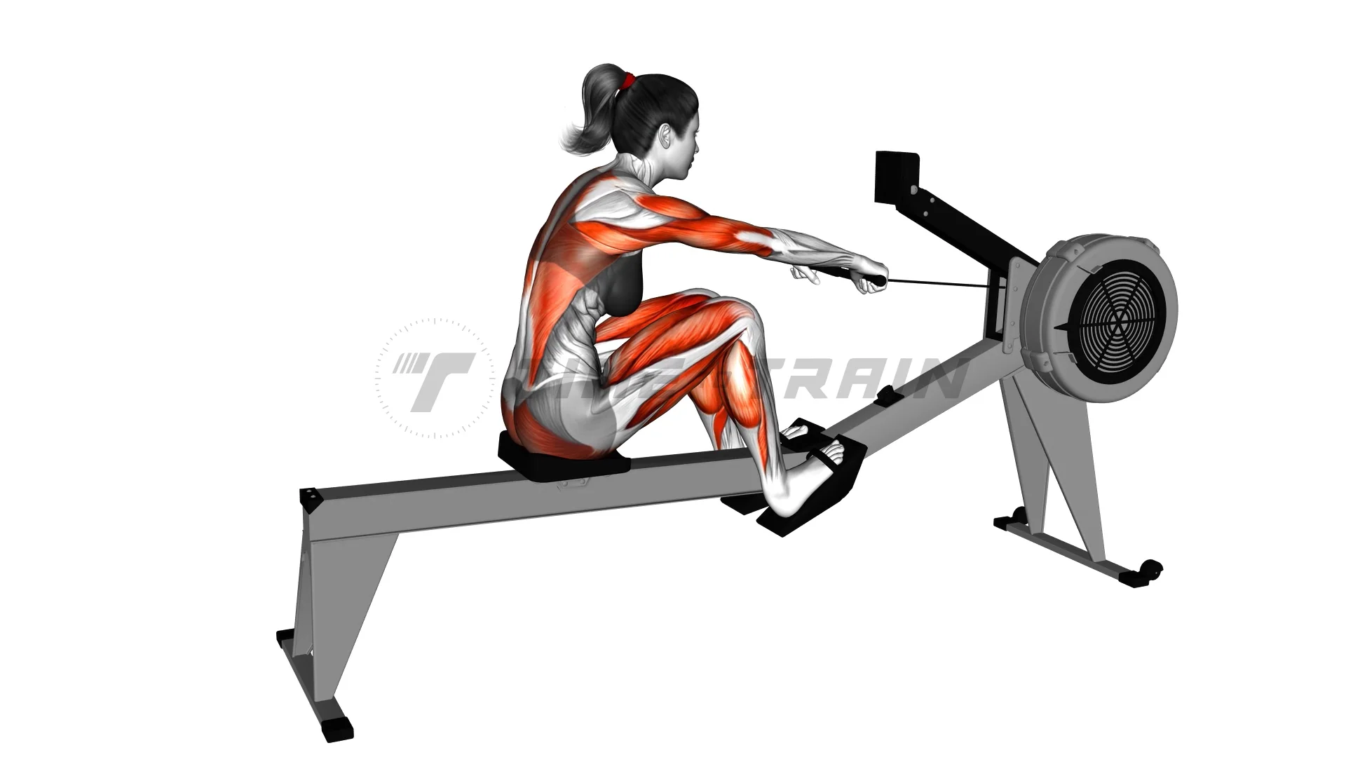22621201Rowing(withrowingmachine)(female)_Cardio on Vimeo