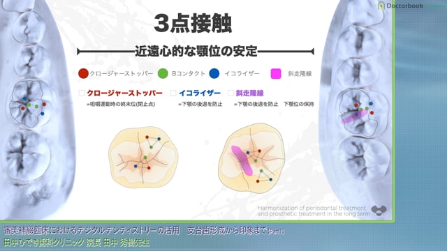 臨床に必要な咬合の基本知識｜生理的・機能的・治療的咬合 #1