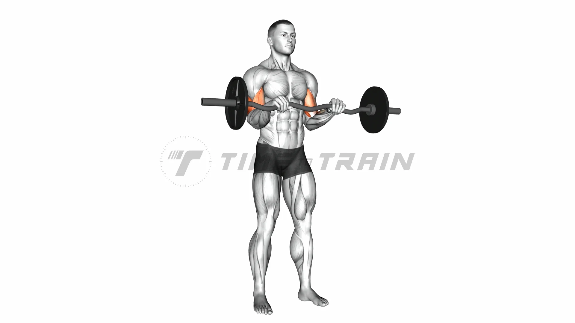 04511201EZBarbellReverseGripCurl_Forearms on Vimeo