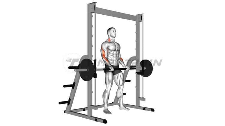 Bicep best sale smith machine