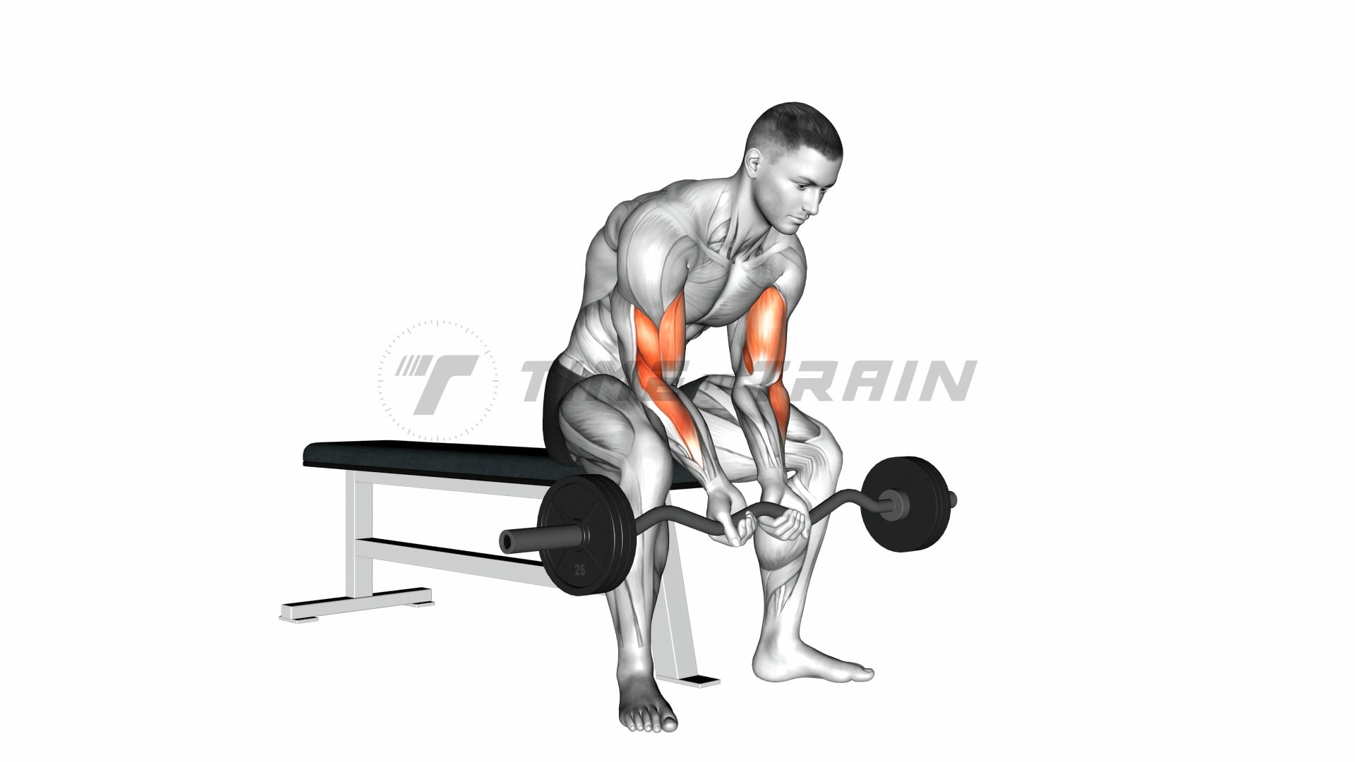 Close Grip ez Bar Curl