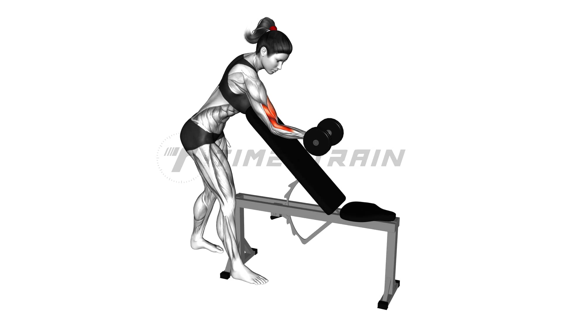 37631201DumbbellOneArmZottmanPreacherCurl(female)_Up on Vimeo