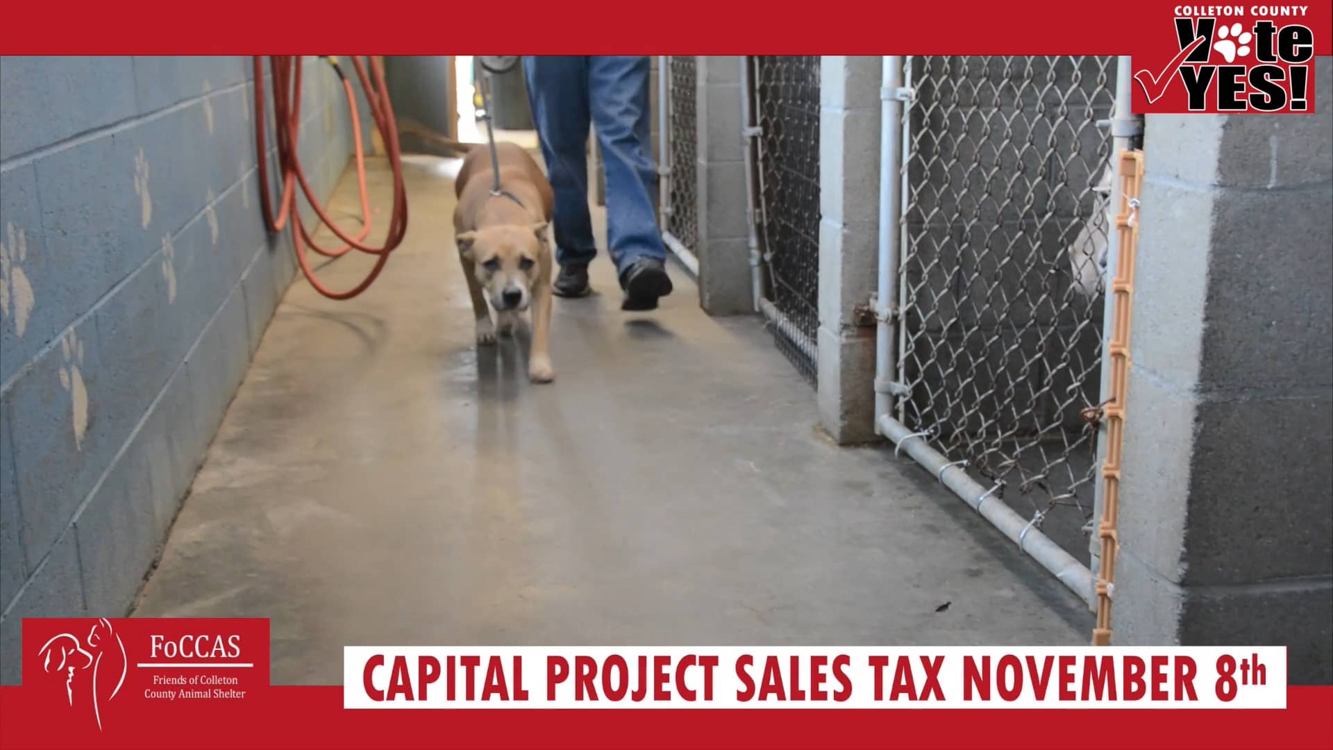COLLETON CAPITAL PROJECT SALES TAX FOCCASFRIENDS OF COLLETON COUNTY