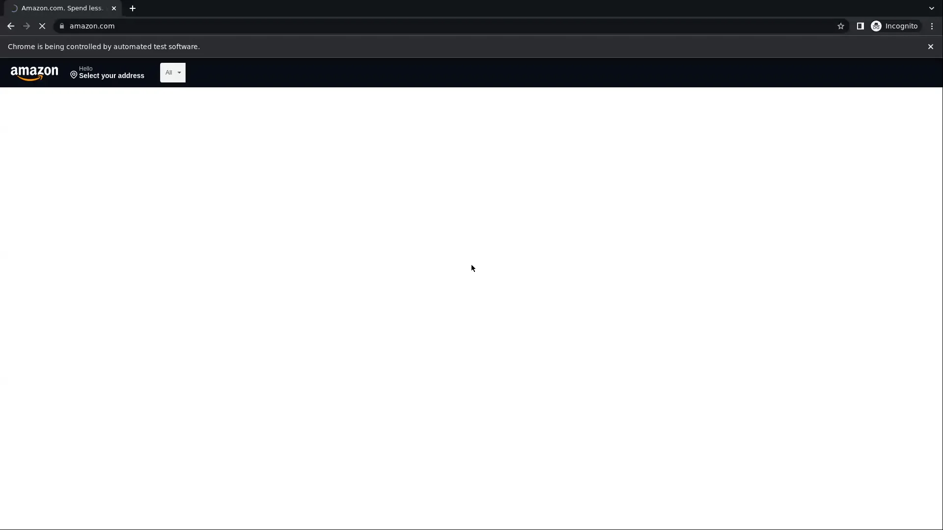 Amazon on Vimeo