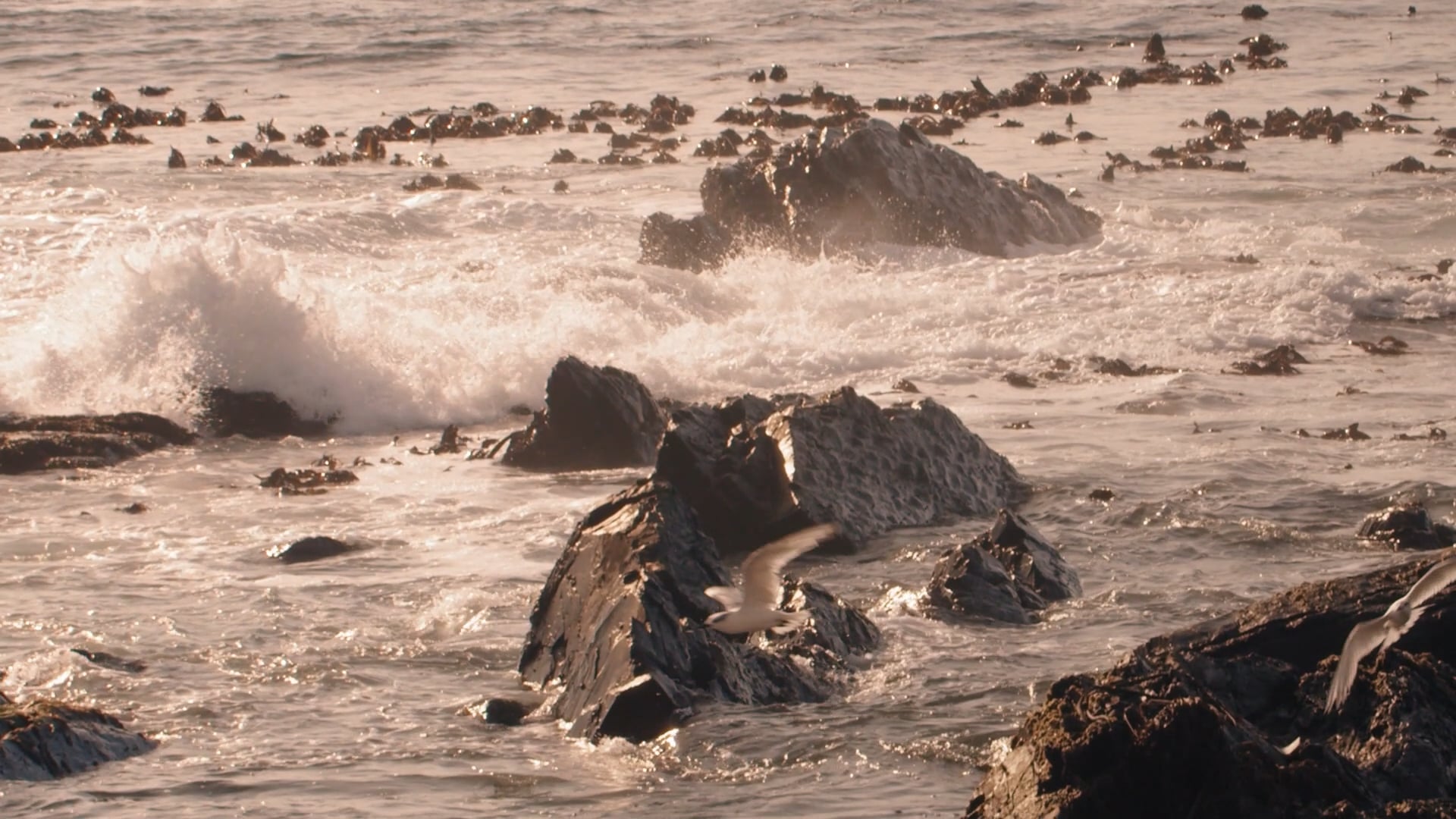 neurosurgery 10 march.mp4