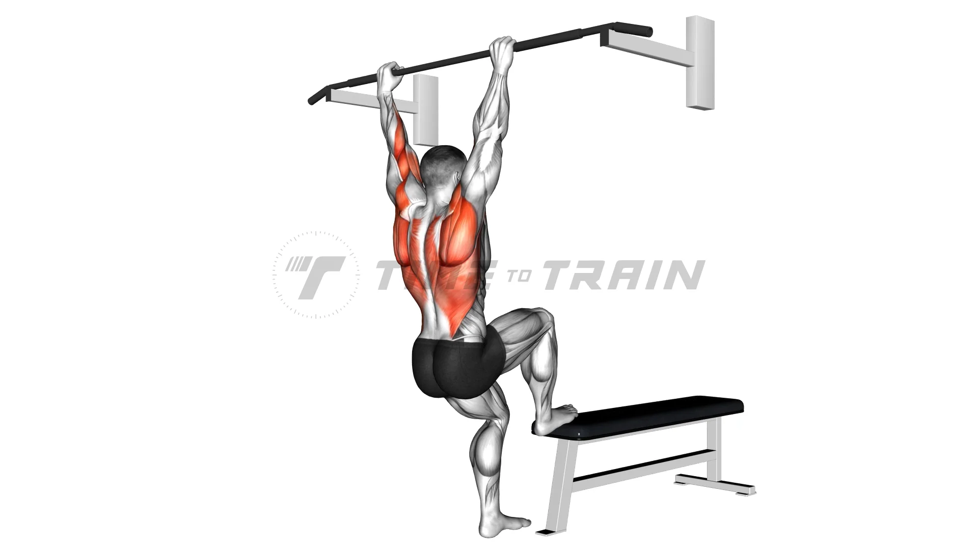 30191201-Bench-Pull-ups_Back on Vimeo
