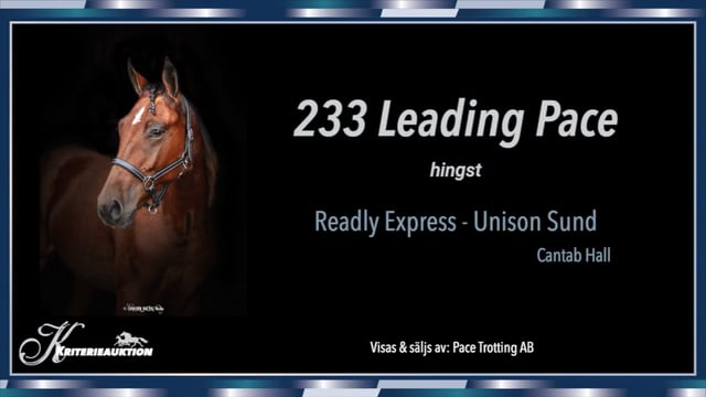 233 Leading Pace on Vimeo