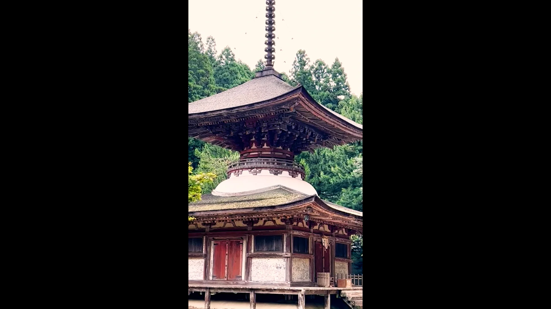 世界遺産 高野山 金剛三昧院