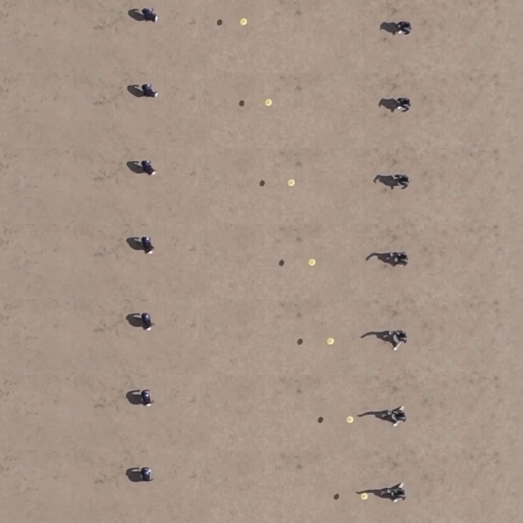 algorithmic frisbee on Vimeo