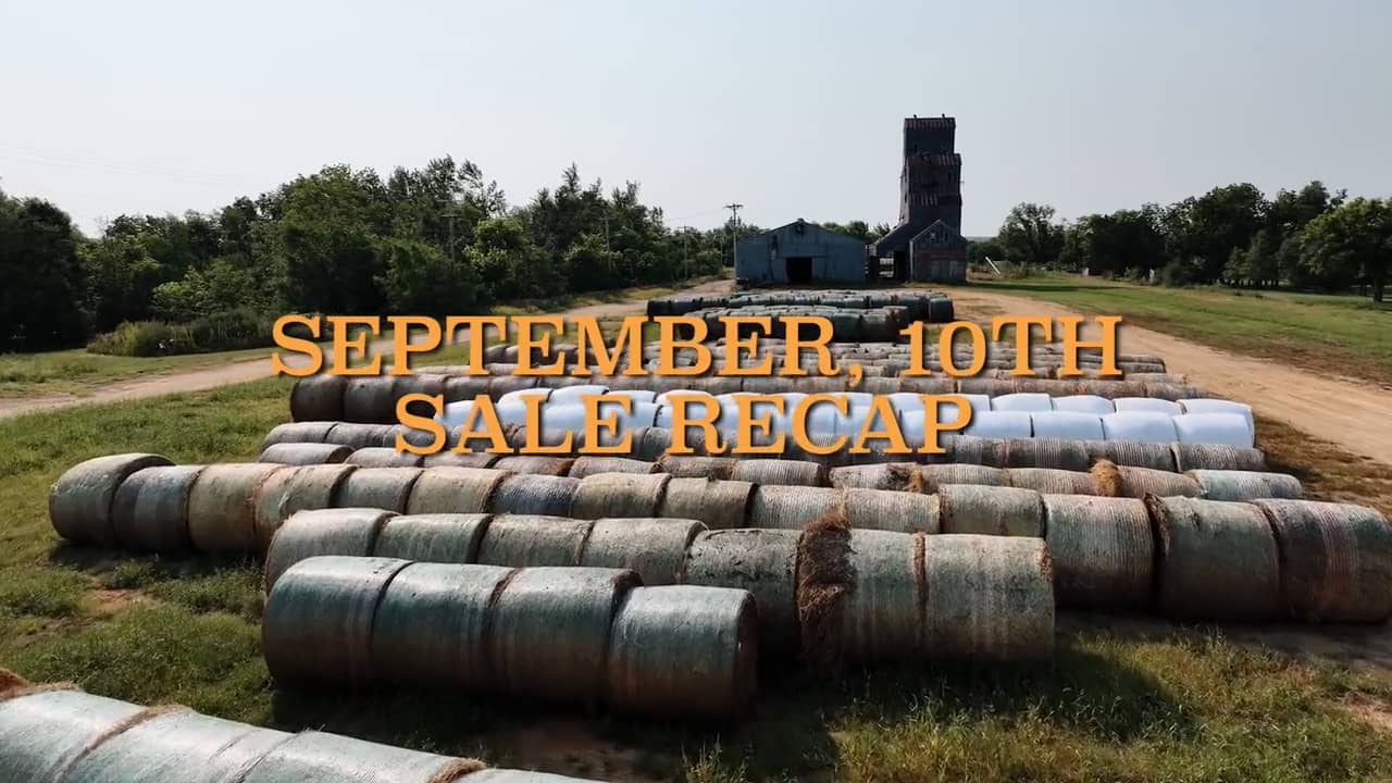 September 10th POST SALE on Vimeo