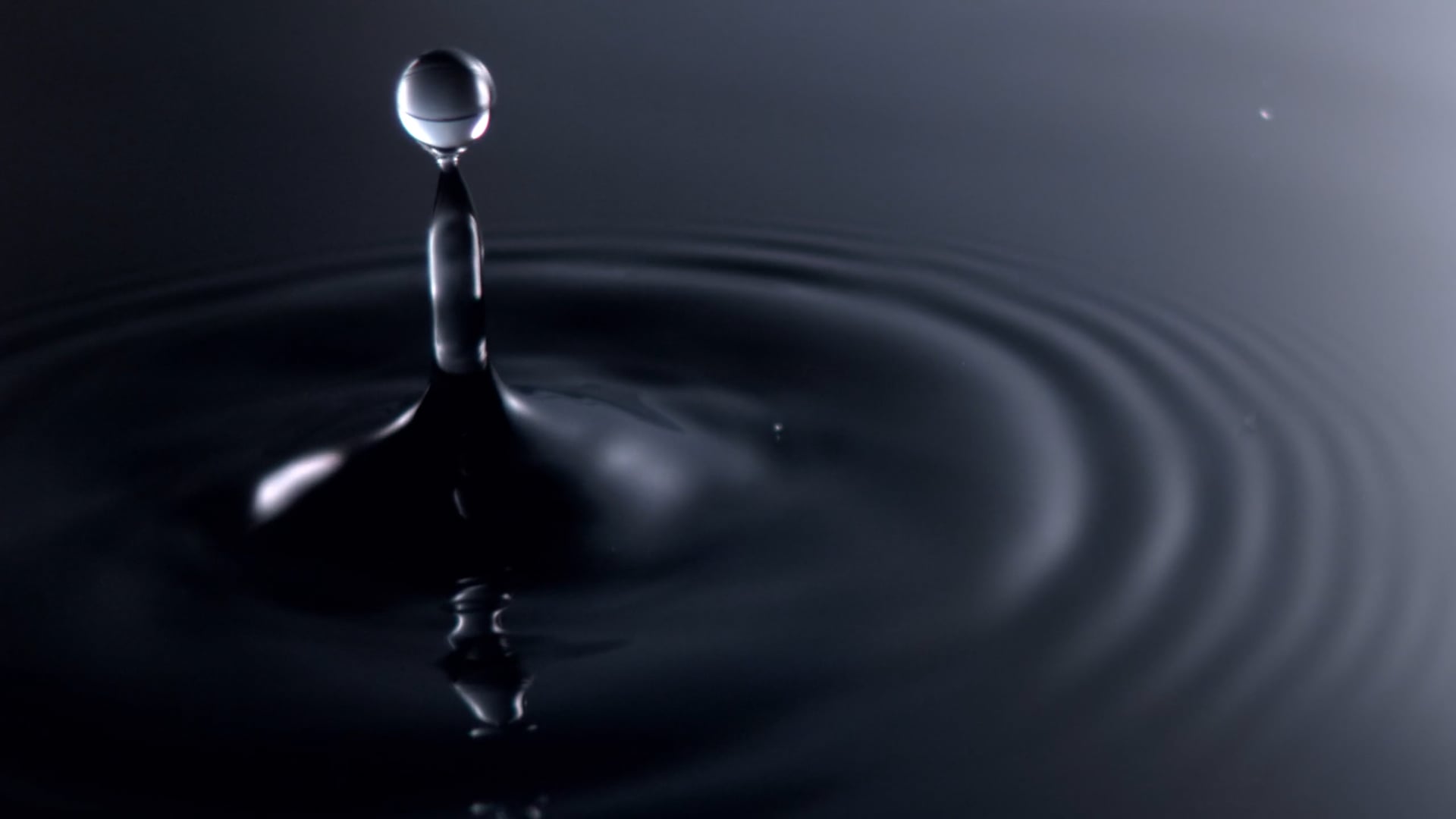 DIOR - EAU NOIRE