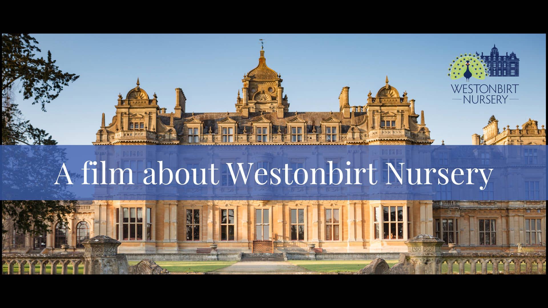 A film about Westonbirt Nursery on Vimeo