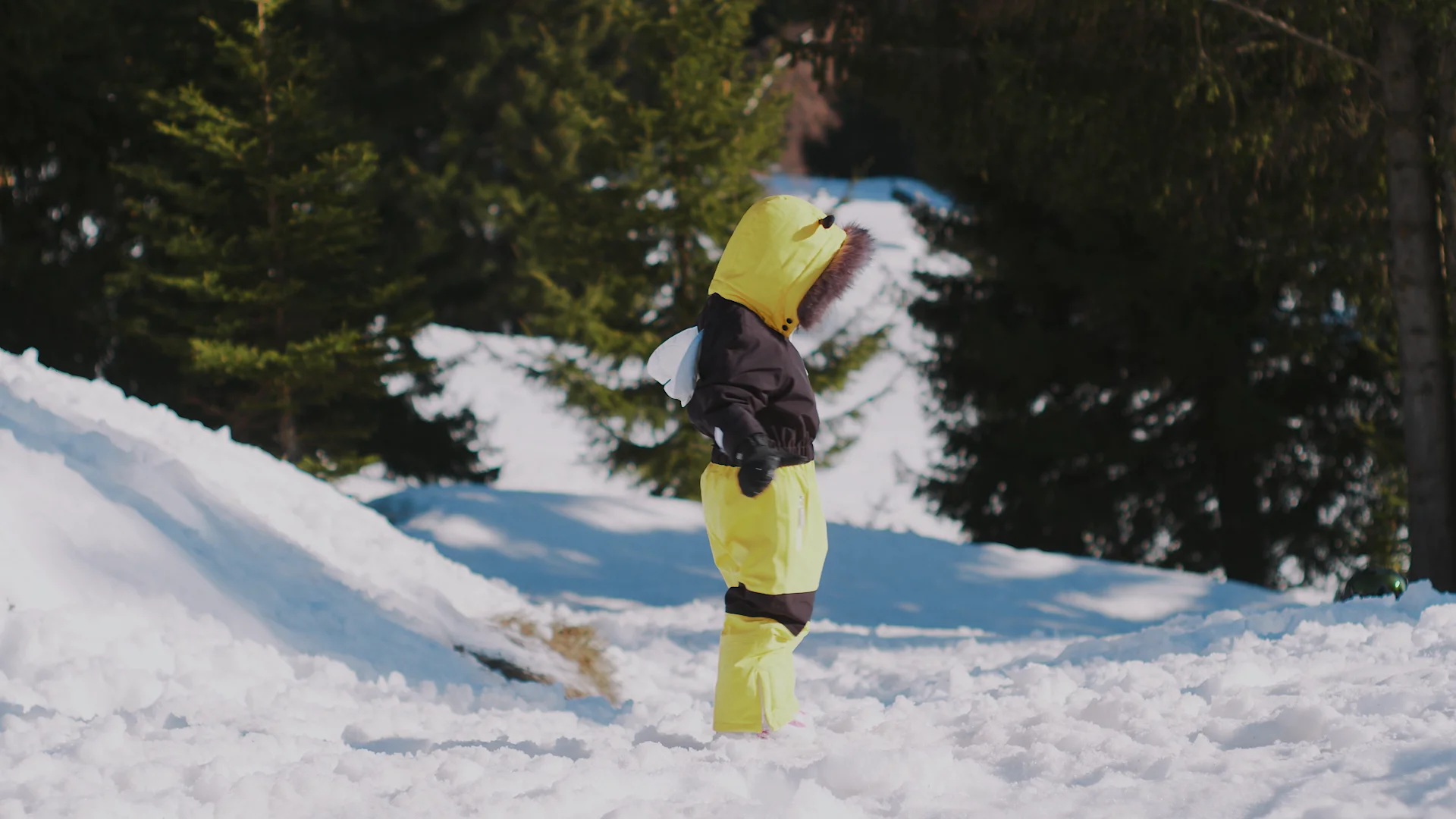 Buzzy the Bee - Kids Snow Suit ‐ Roarsome