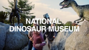 National Dinosaur Museum