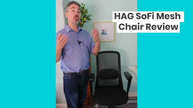 Hag chair online review