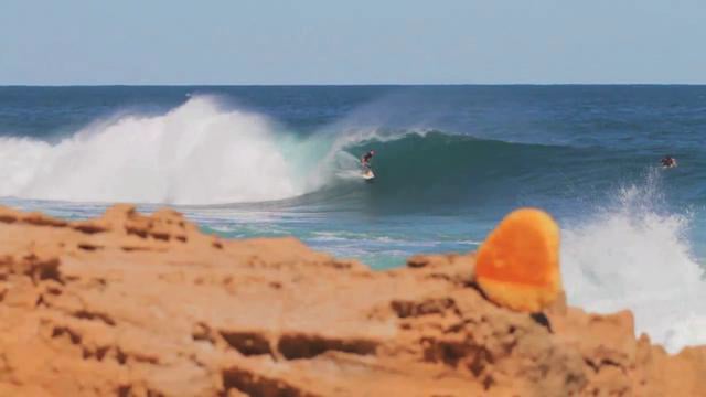 A Fly in the Ointment from Mike Riley