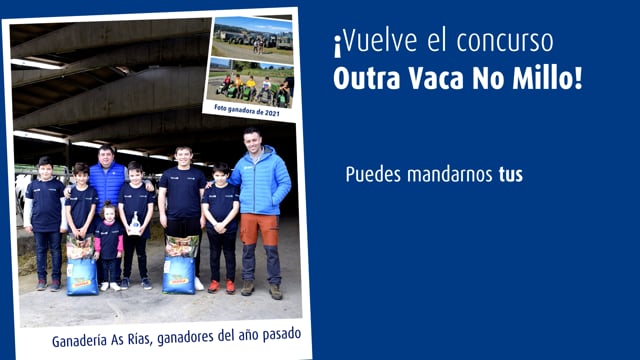 Nova oportunidade para facerte co trofeo de 'Outra Vaca no Millo'