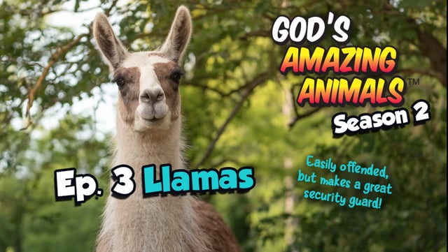 Series - God's Amazing Animals