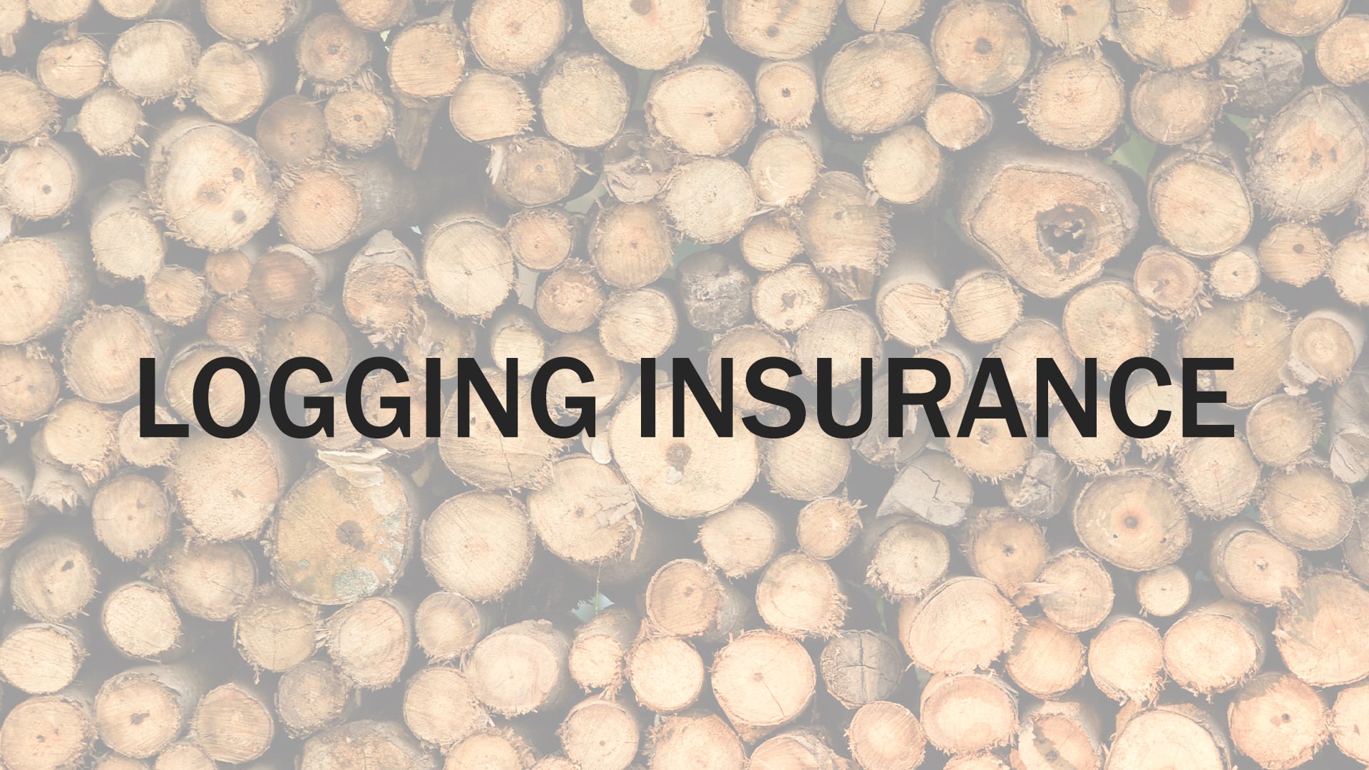 LOGGING INSURANCE | SOUTHERN PINES