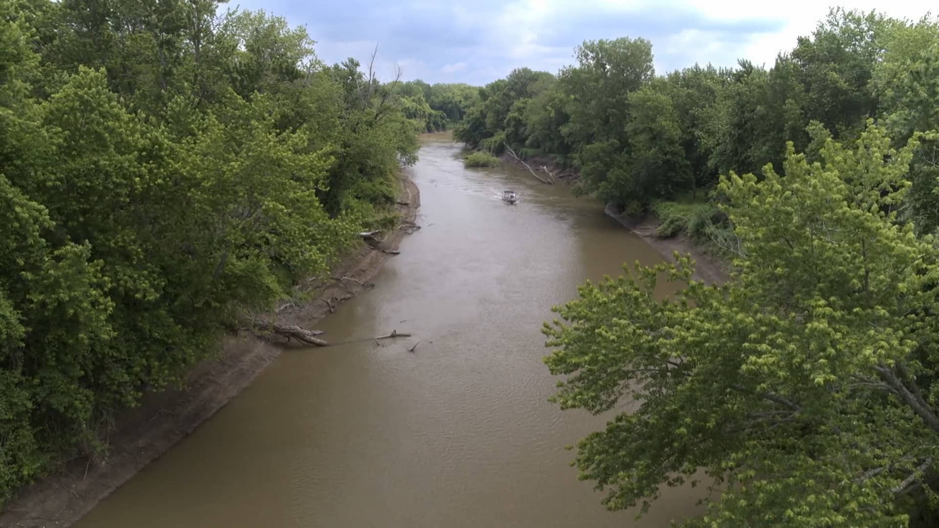 Silver Carp: Great Lakes' Enemy No. 1 | Great Lakes Untamed on Vimeo