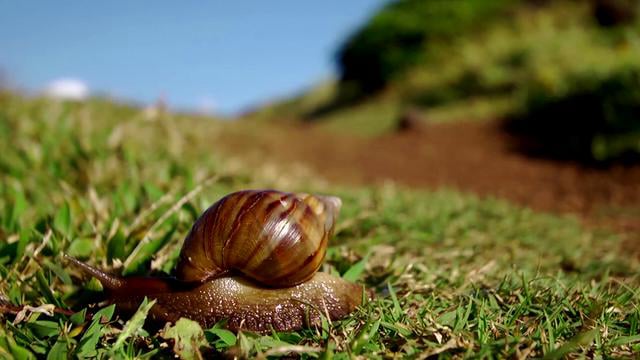 Trek Maui Team Trip from Bike magazine