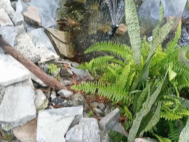 Video 1: