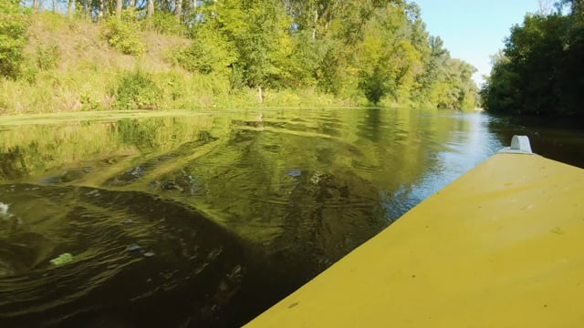 Gentle Bird Songs and River Sounds for Relaxation - Kayaking on the River