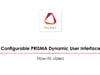 Configurable PRISMA Dynamic User Interface