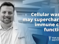 Newswise:Video Embedded cellular-waste-may-supercharge-immune-cell-function