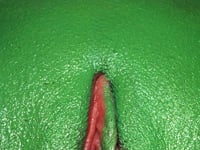 Igor Pose – Red Book (2001)