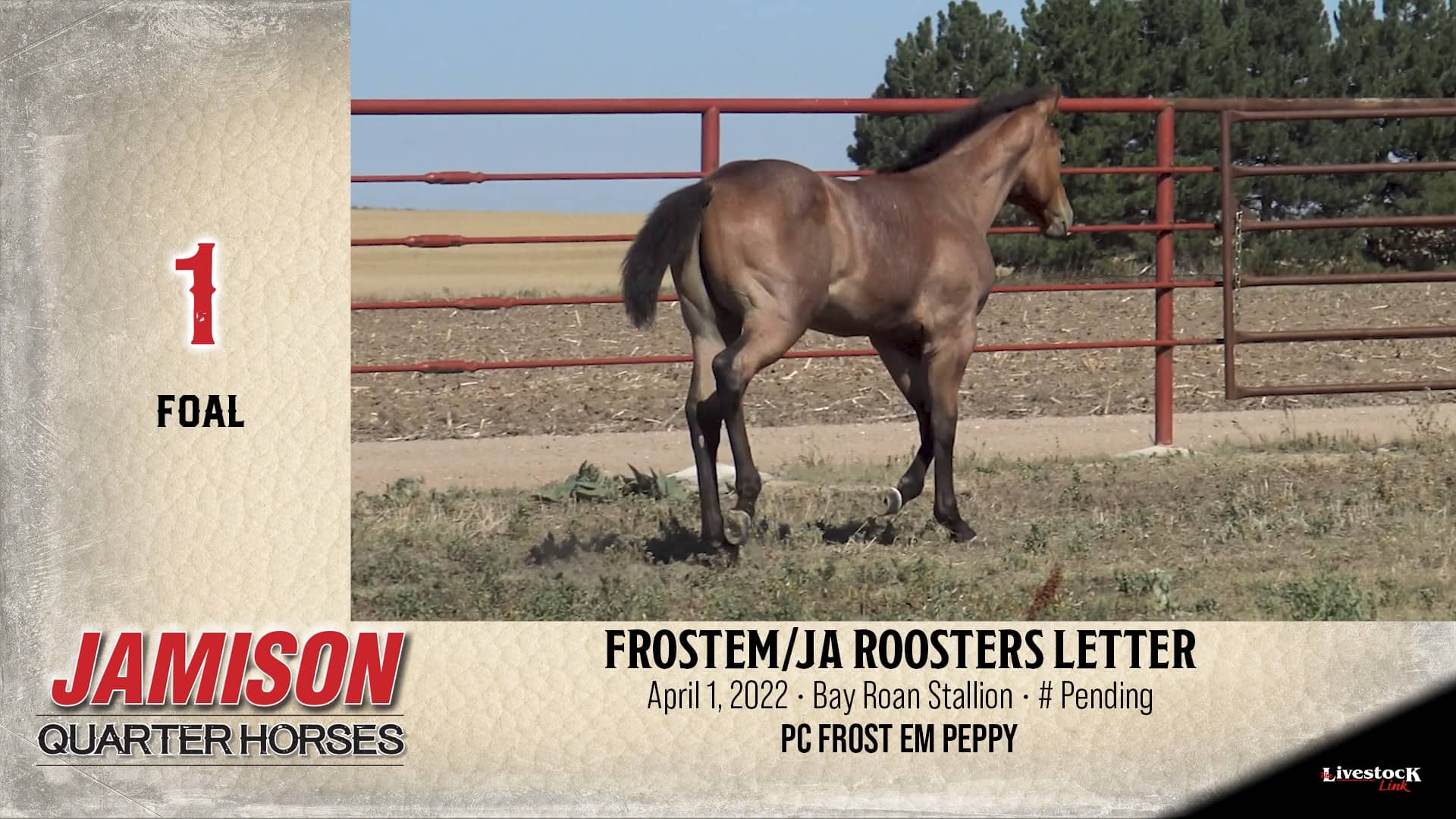 Jamison Ranch - Lot 1 on Vimeo