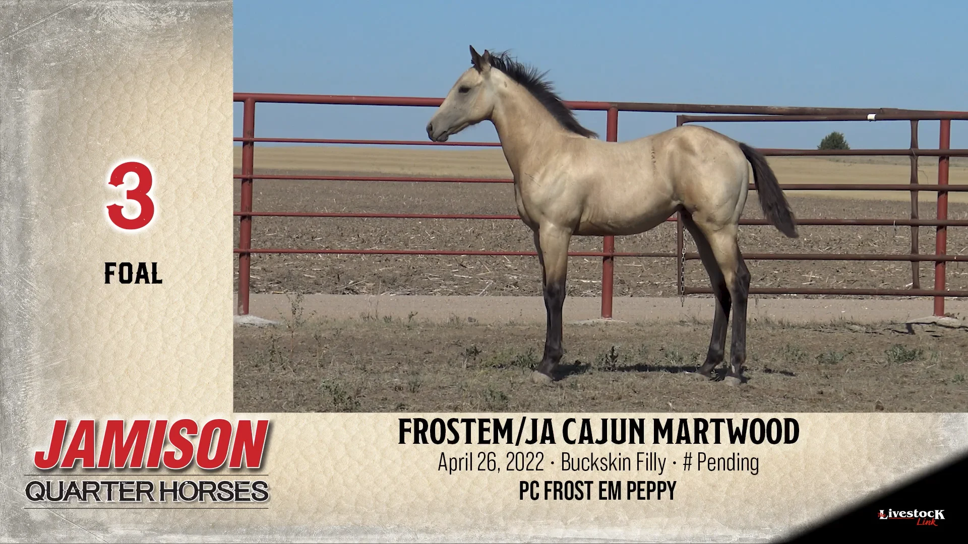 Jamison Ranch - Lot 3 on Vimeo