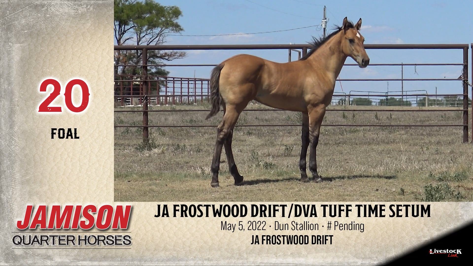 Jamison Ranch - Lot 20 on Vimeo