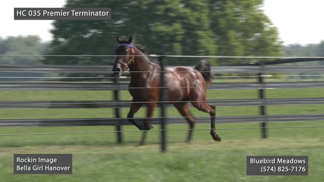 HC 035 Premier Terminator