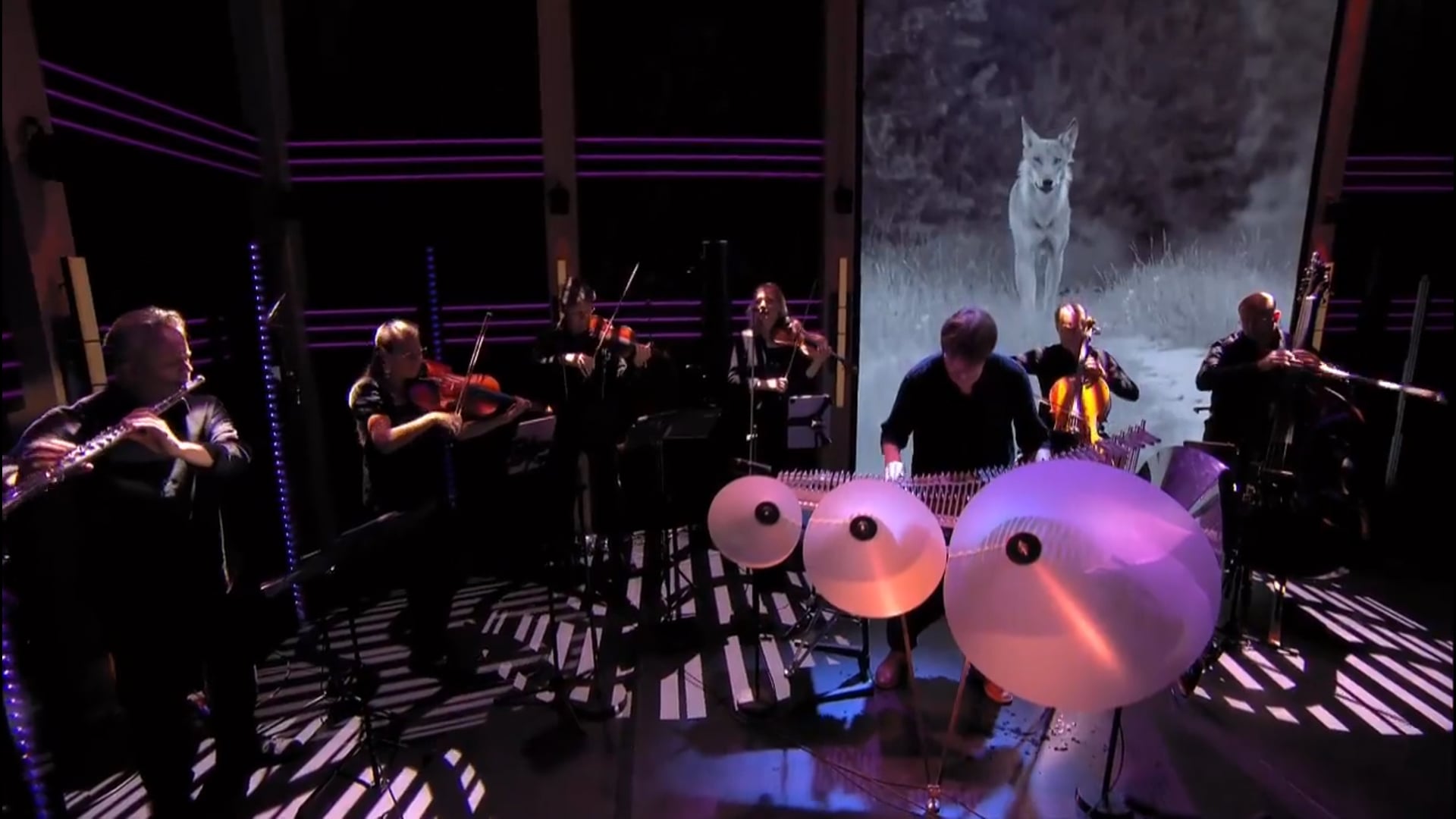 Scouts Theme - Matthijs Kieboom. Live At Sophie & Khalid Sept 13 2022