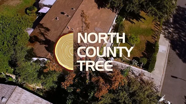 North County Tree