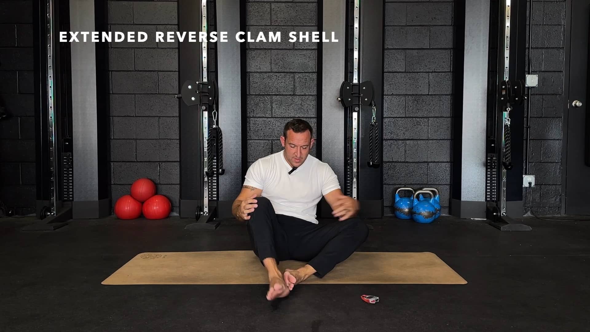 Extended Reverse Clam Shell (long).mp4 on Vimeo