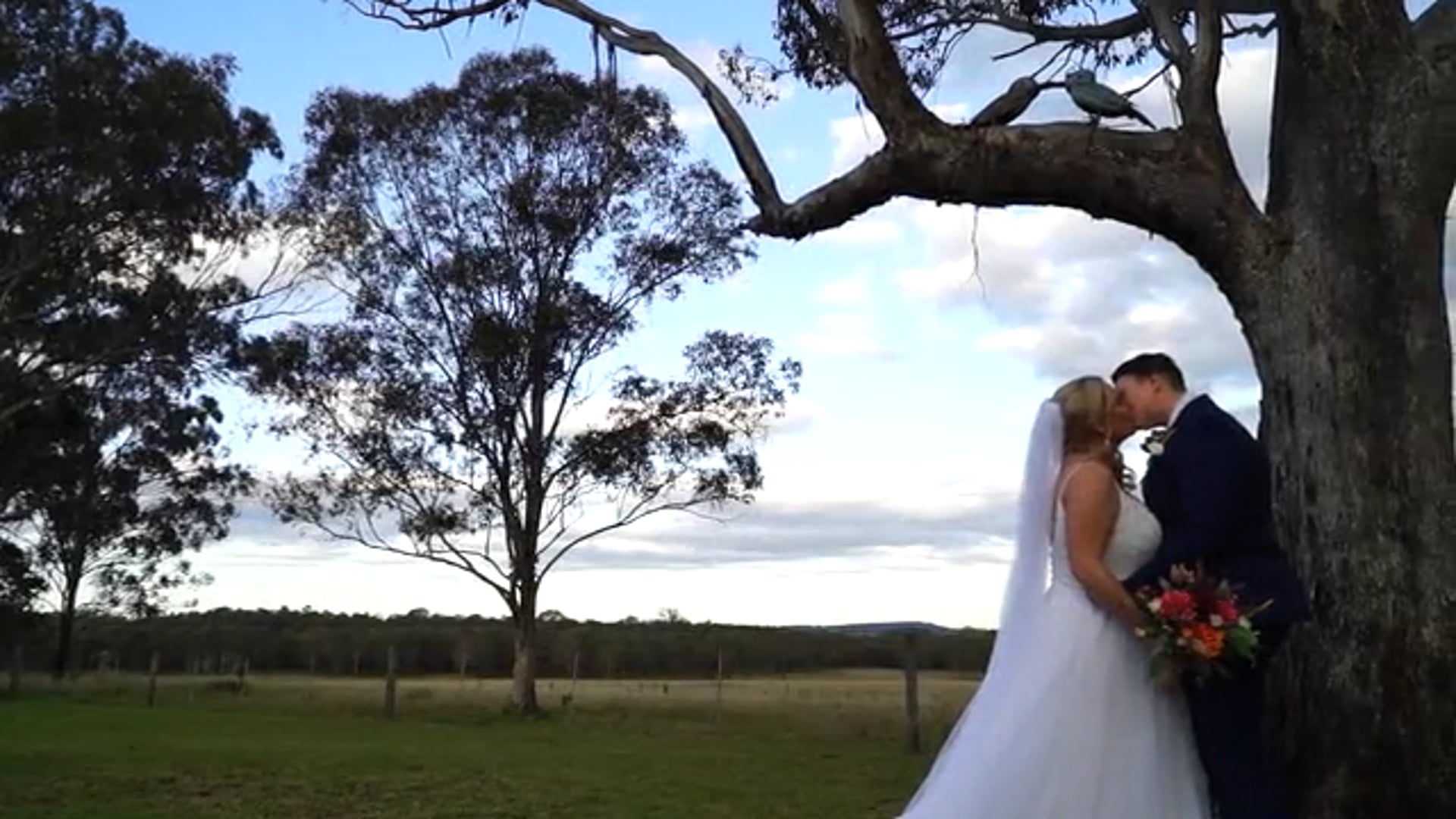 Donna & Mikayla Wedding Video Highlights