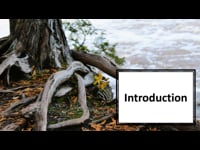 Introduction