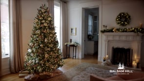 Sprecher Werbespot | Balsam Hill