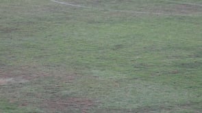 L'adjudicació del projecte del canvi d'herba queda encallada
