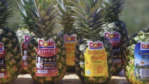 Dole - Pineapple