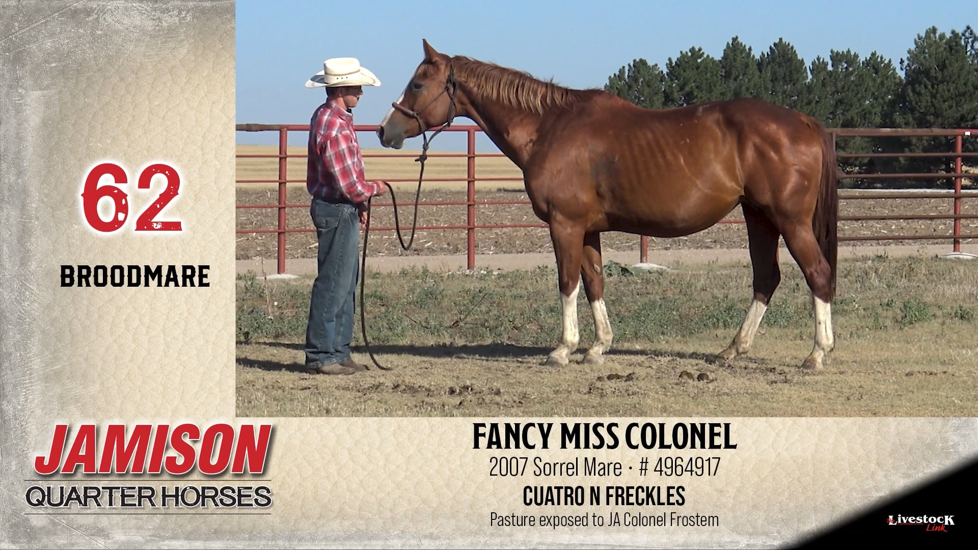 Jamison Ranch- Lot 62 on Vimeo