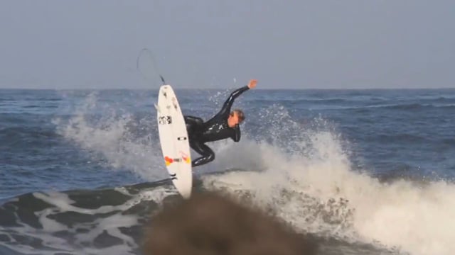 Spring Cluster Menagerie from youngwisetails