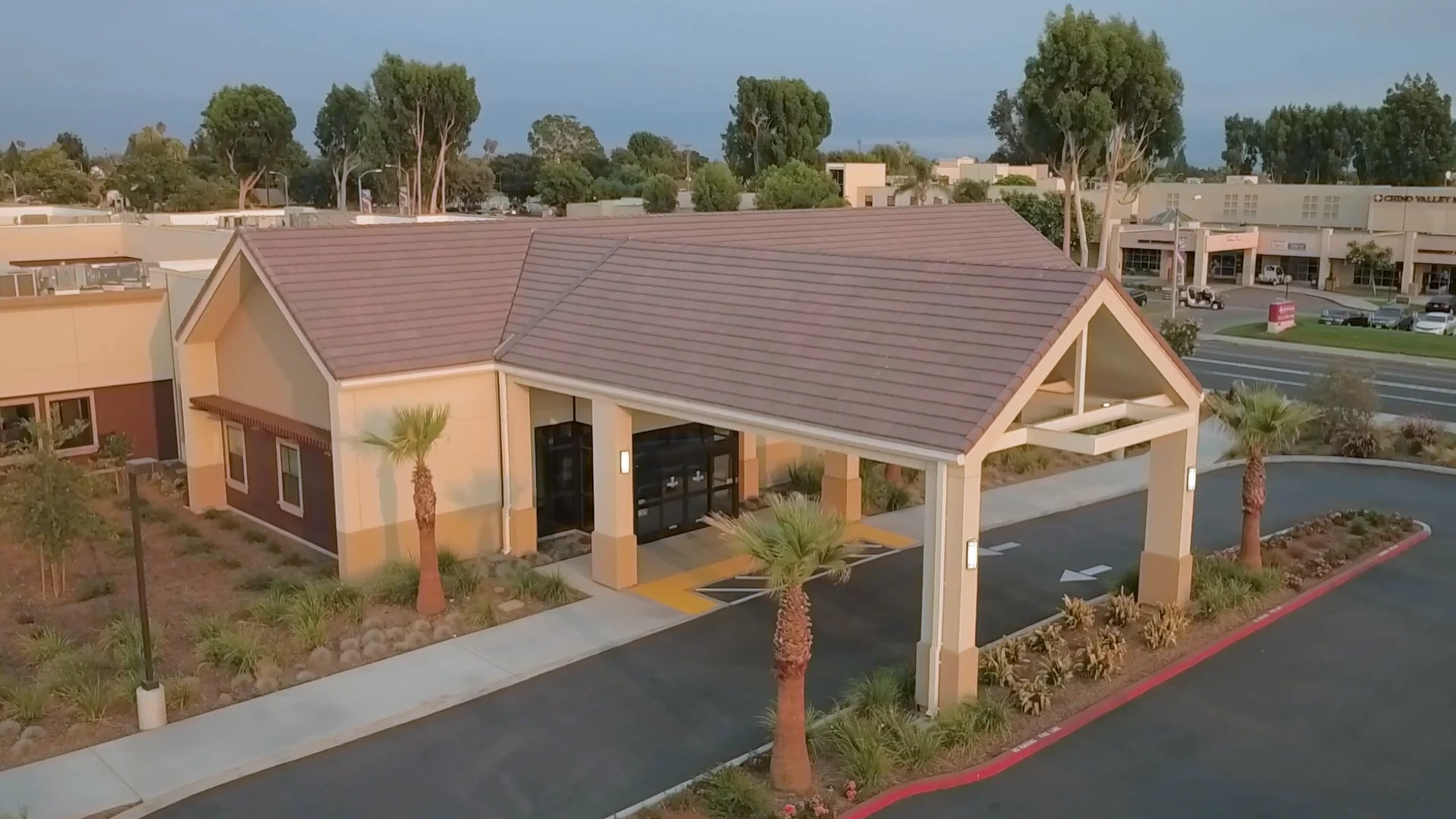 Trellis Chino on Vimeo