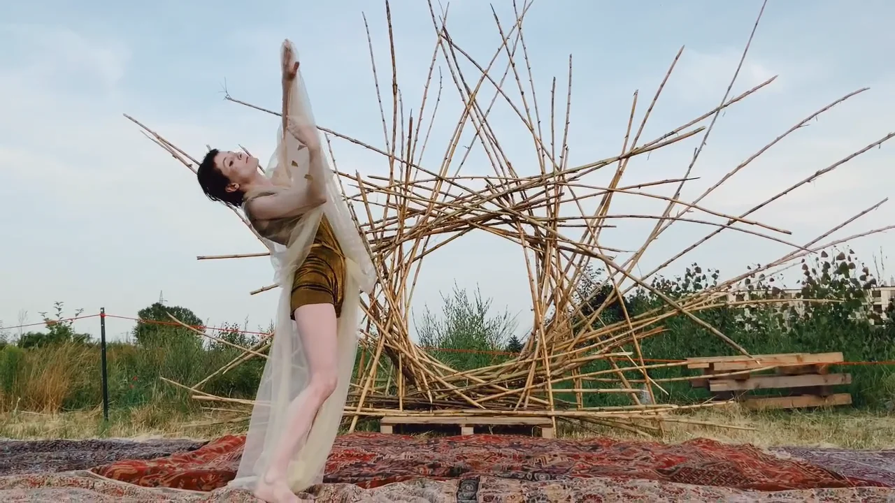 Il tetto si è bruciato, ora