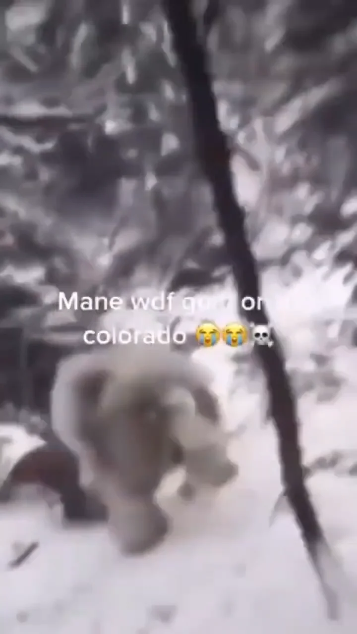 Man wdf goin on in colorado on vimeo